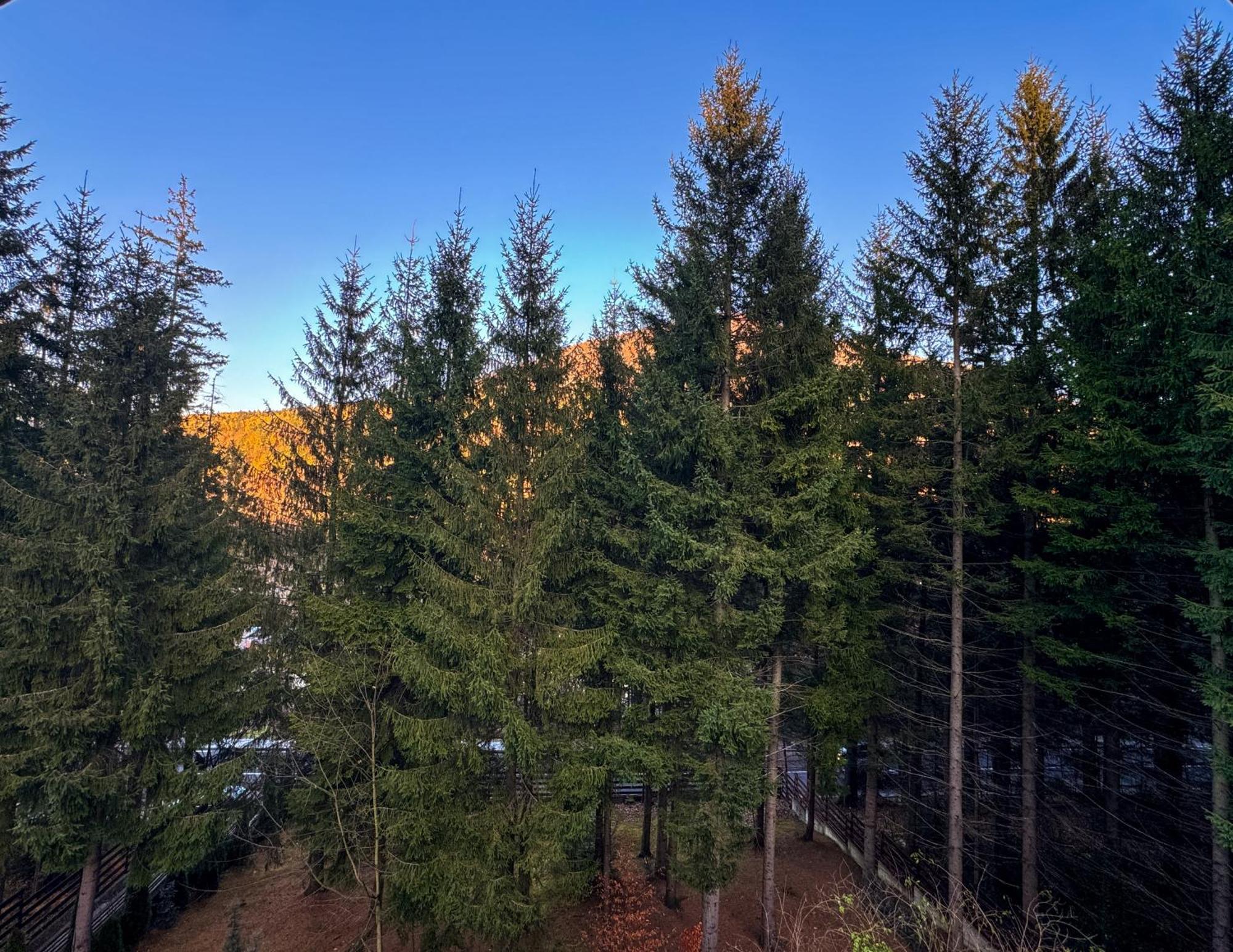 Apartmán Impala Sinaia - Gazelle Exteriér fotografie